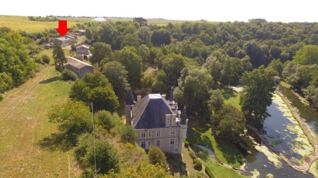 Chateau Des Loups - Les Cedres Bleus Echire Dış mekan fotoğraf